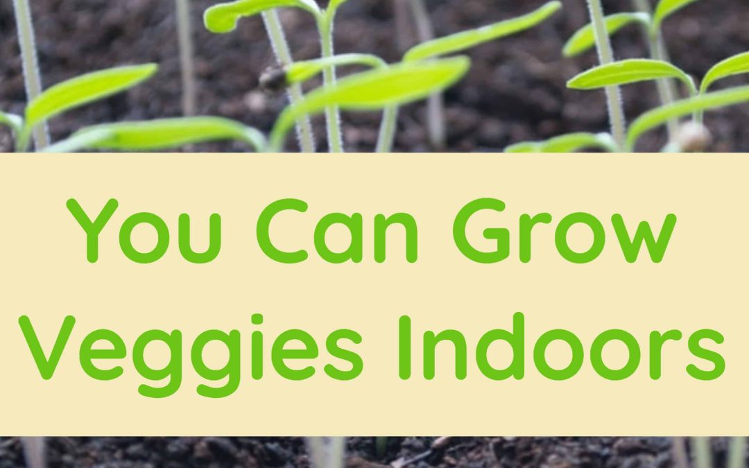 You Can Grow Veggies Indoors During the Winter Months