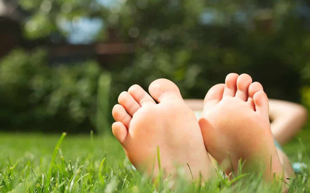 Tips for a Beautiful Lawn