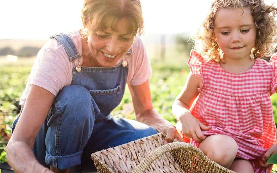 Tips to grow strawberries & raspberries