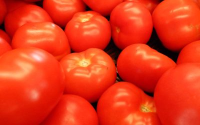 Learn to grow your own tomatoes