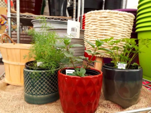 Containers: Pots, Baskets & More - Image 3