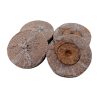 Jiffy Peat Pellets - Image 2