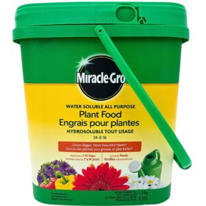 Miracle Gro Plant Food