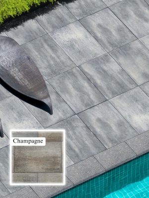 Nueva XL Slab Champagne