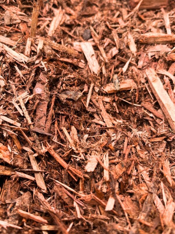 Red Cedar Mulch Closeup