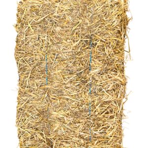 Straw Bale