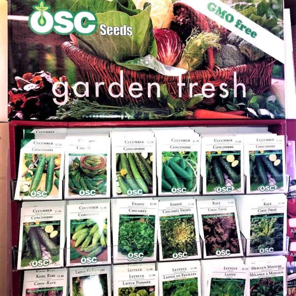 OSC Seeds - Image 2