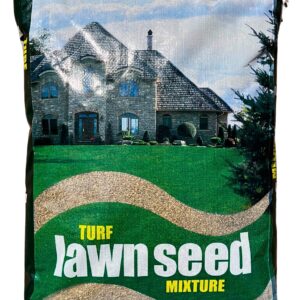 Grass Seed