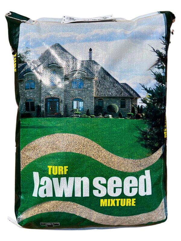 Grass Seed