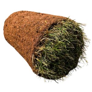 Sod Rolls