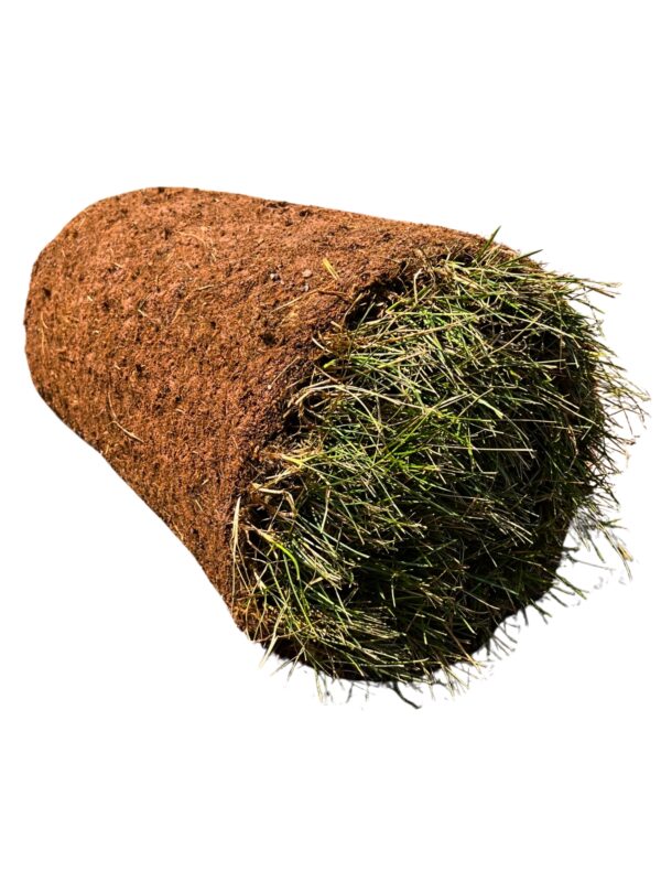 Sod Rolls