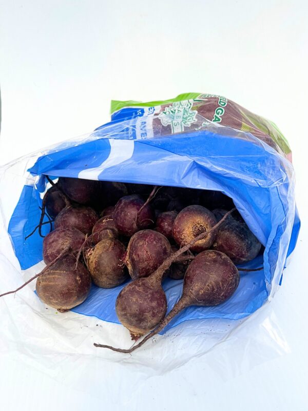 Beets, Bagged - 10 lbs - Image 2