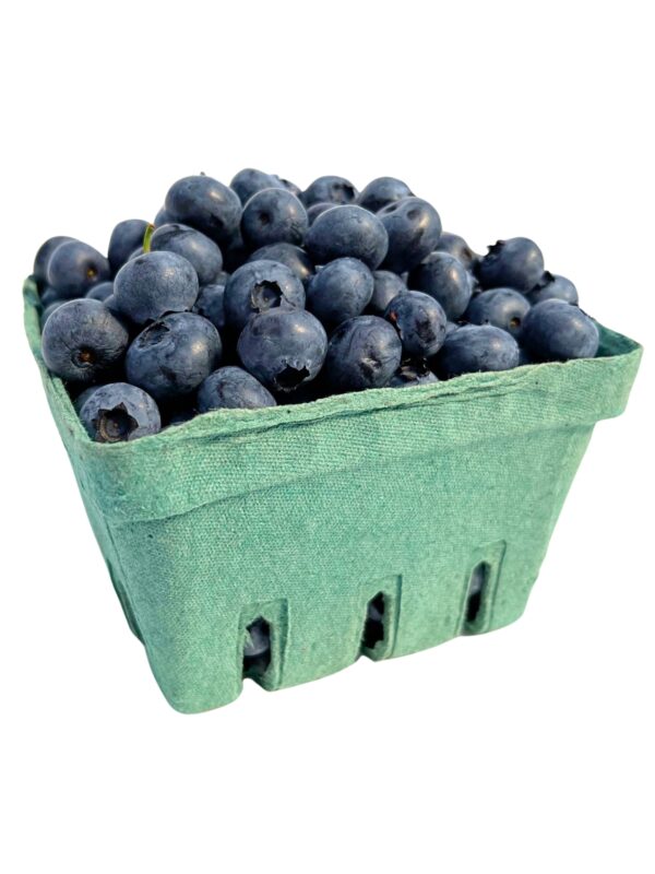 Blueberries, Highbush - Image 3