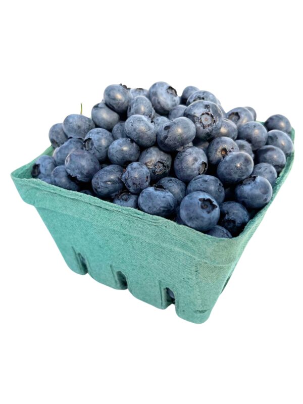 Blueberries, Highbush - Image 2