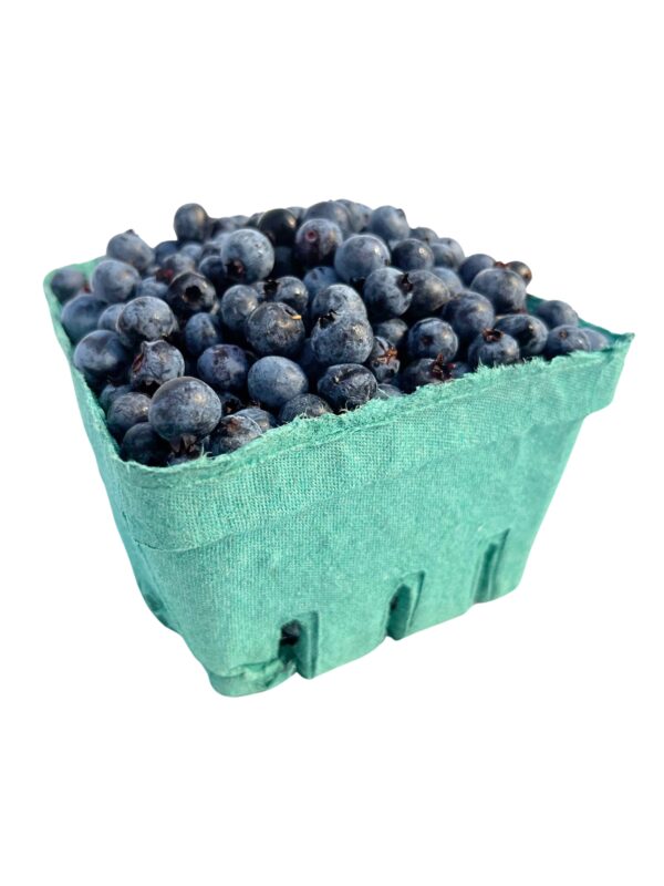 Blueberries, Wild - Image 2