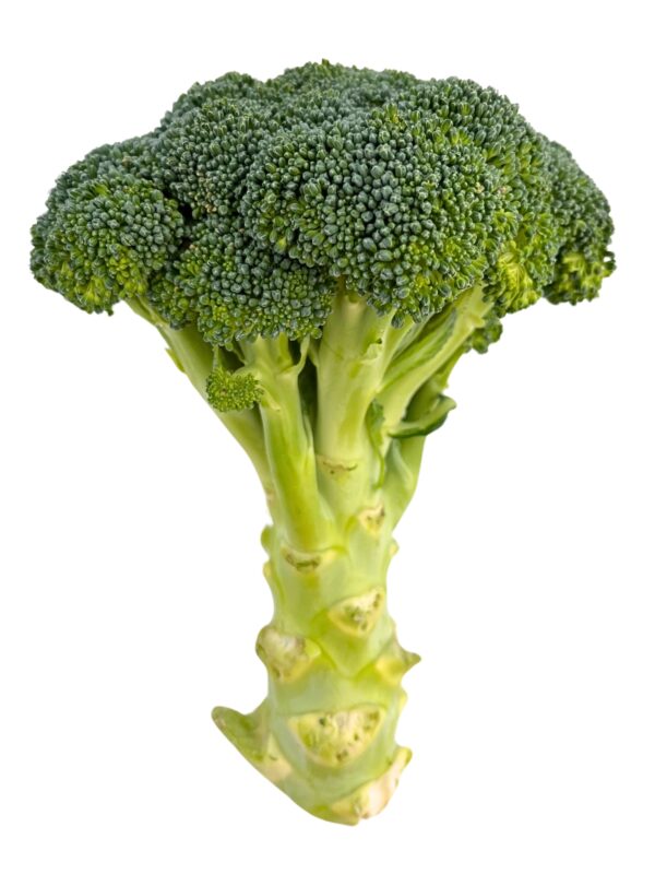 Broccoli