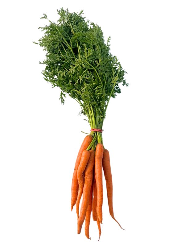 Carrots, Bunched