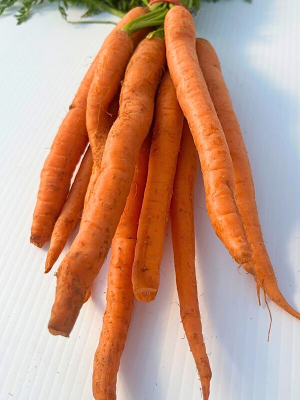 Carrots, Bunched - Image 2