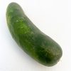 Cucumber, Field - Image 2