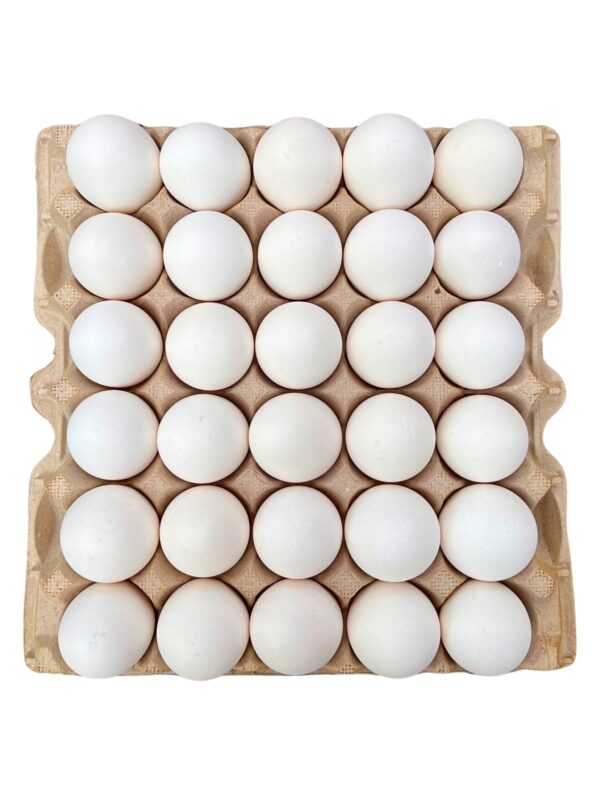 Eggs - Image 2