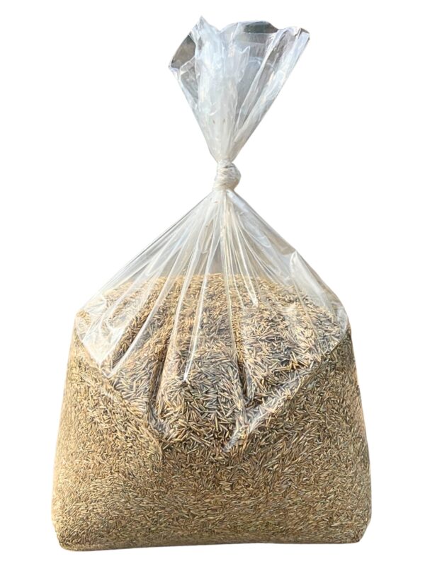 Grass Seed by pound