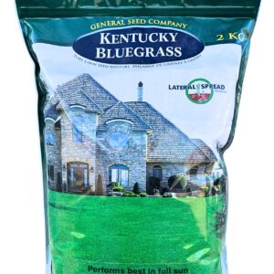 Kentucky Bluegrass - 2 kg