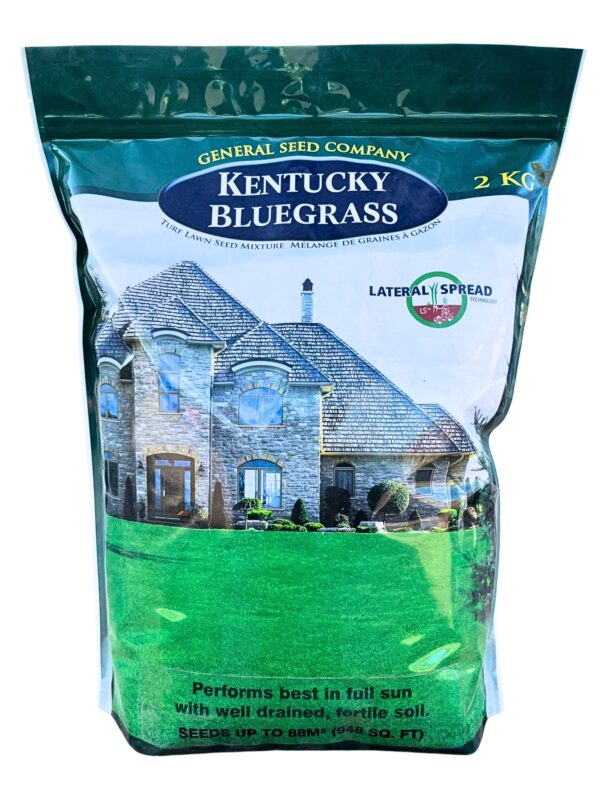 Kentucky Bluegrass - 2 kg