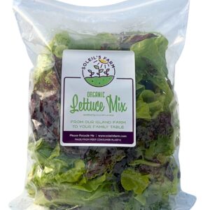 Lettuce Mix - Organic