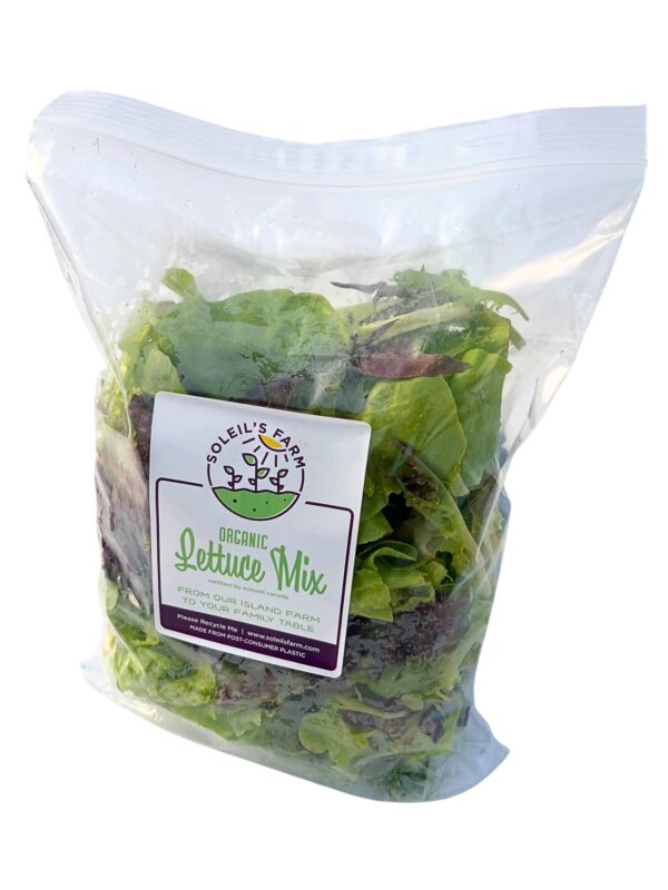 Lettuce Mix - Organic - Image 2