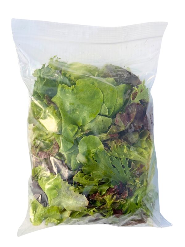 Lettuce Mix - Organic - Image 3