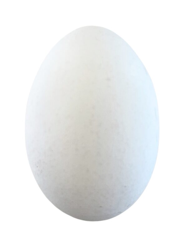 Eggs - Image 3