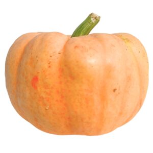 Pumpkins - Pink