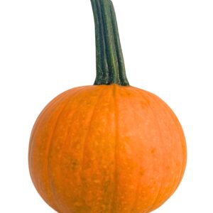 Pumpkins - Small Orange