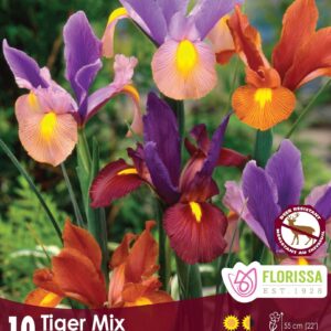 Florissa Iris Bulbs - Tiger Mix (Fall Planting)