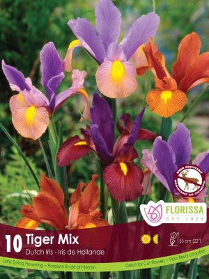 Florissa Iris Bulbs - Tiger Mix (Fall Planting)