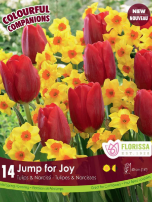 Tulips & Narcissi Bulbs Jump for Joy