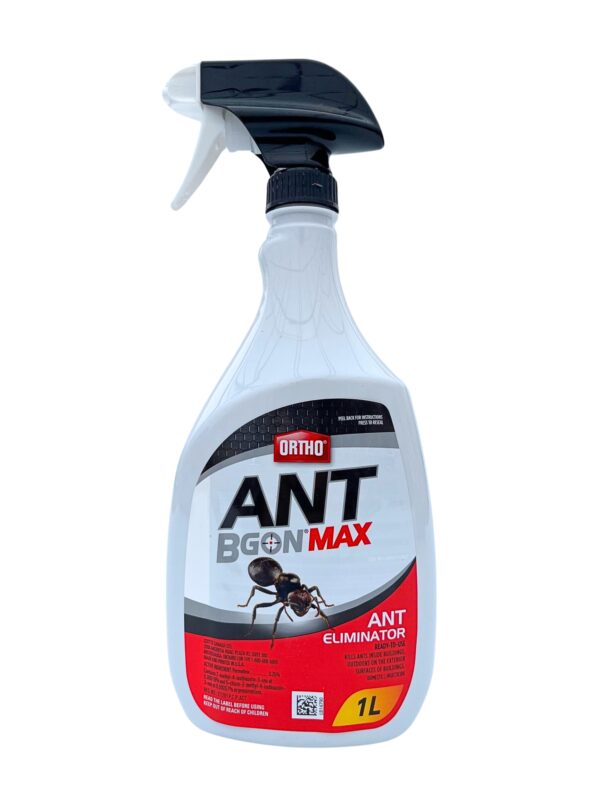 Ortho Ant B Gon Max