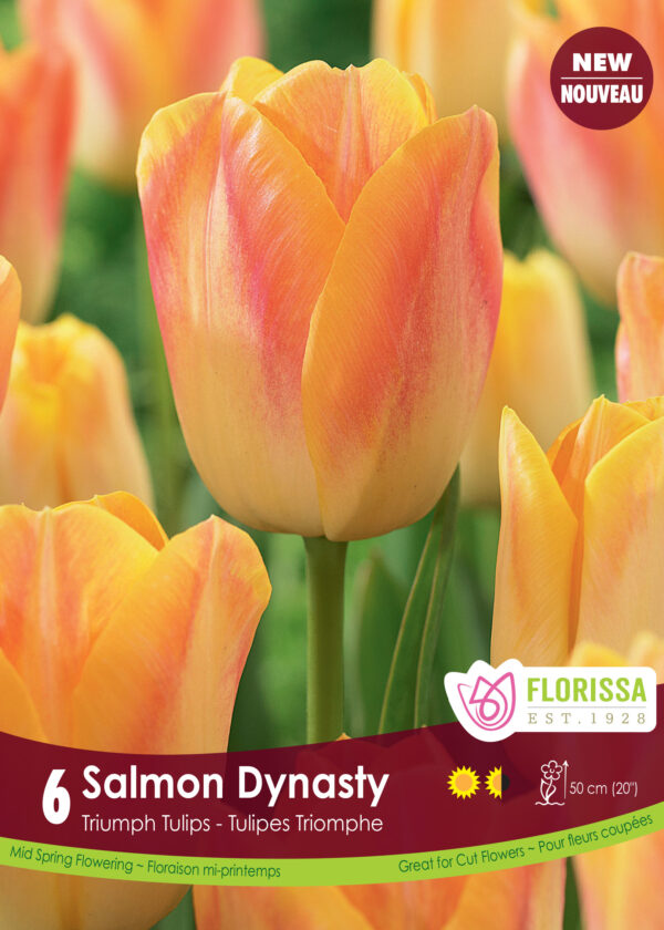 Florissa Tulip Bulbs (Fall Planting) - Image 27