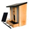 BirdsIVue Smart Video Bird Feeder - Solar Powered - Image 2