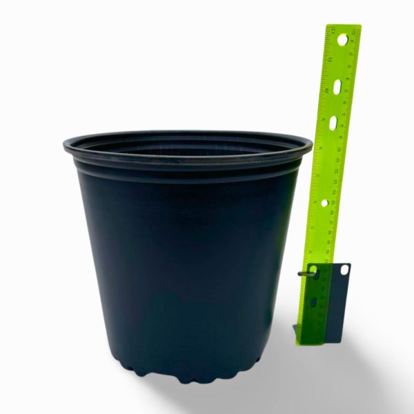 Planting Pots/Containers - Assorted Sizes - Image 7