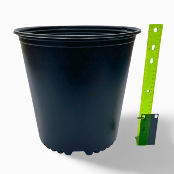 Planting Pots/Containers - Assorted Sizes - Image 8