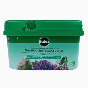 Miracle Gro Evergreen Food