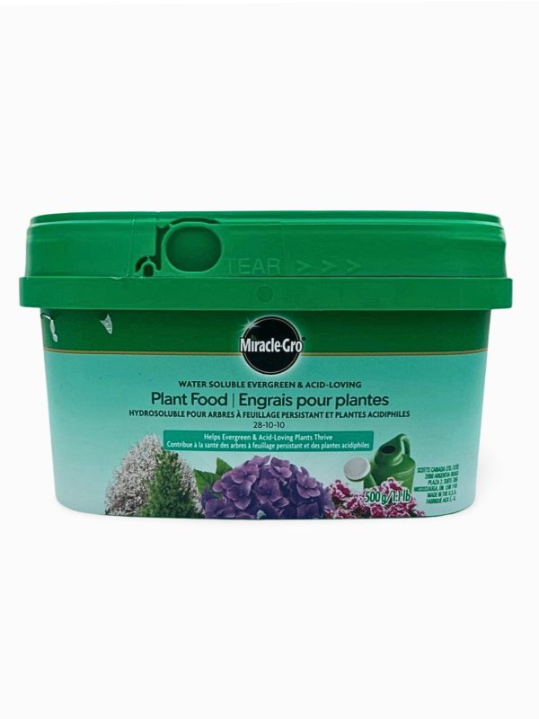 Miracle Gro Evergreen Food