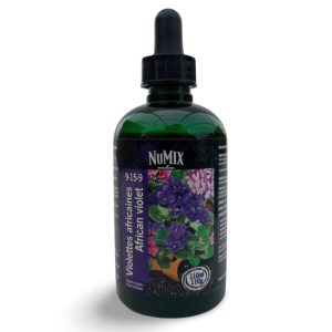 NuMix African Violet