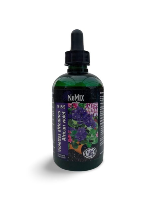 NuMix African Violet