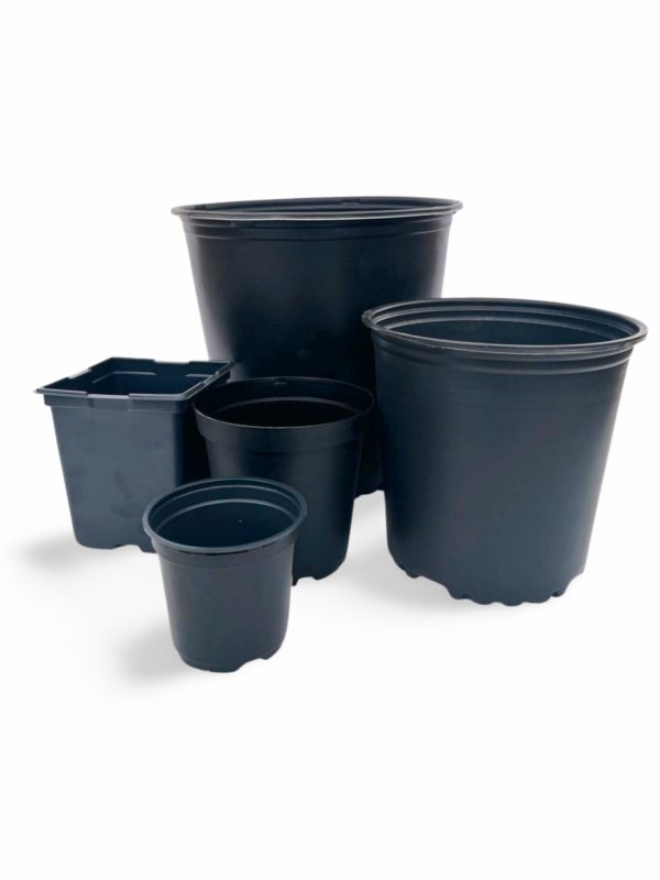 Planting Pots - Assorted Sizes