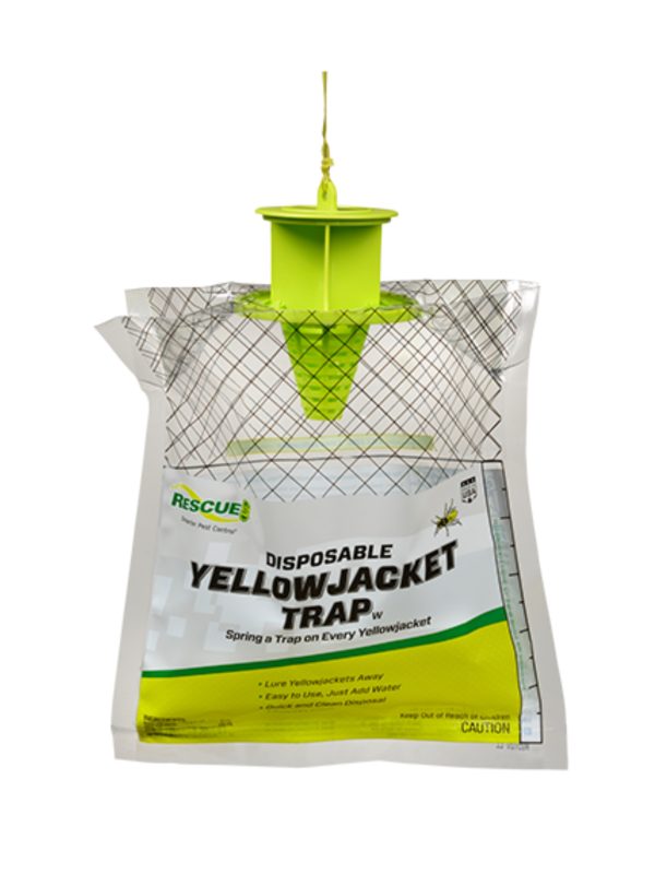 Rescue Yellow Jacket Trap