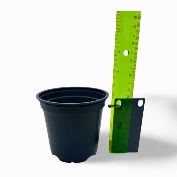 Planting Pots/Containers - Assorted Sizes - Image 4