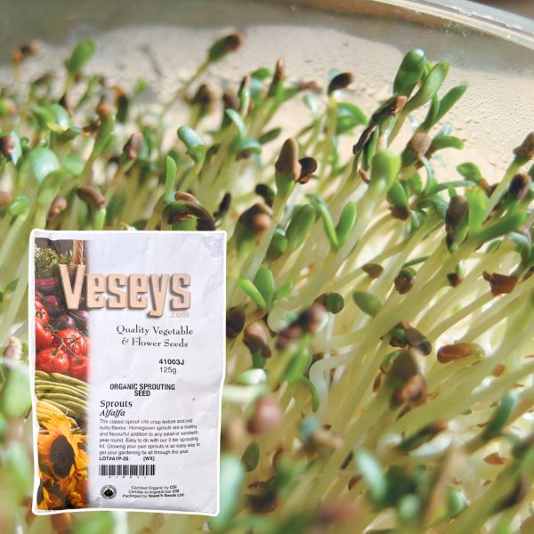 Veseys Seeds - Image 2