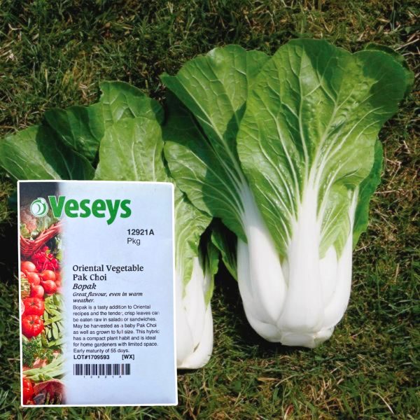 Veseys Seeds - Image 10